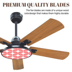 Coral Atomic 42-Inch Ceiling Fan with Light