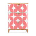 Mid-Century Modern Geometric Shoe Cabinet
